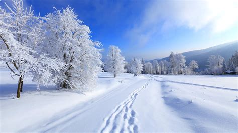 دانلود عکس پروفایل طبیعت زمستانی برفی