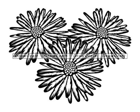 Aster Flower 2 Svg Aster Svg Decorative Svg Flower Svg Flower Cut