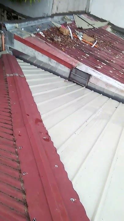 Rib Type Roof Color Beige Jsapalustv Shortvideo Youtube