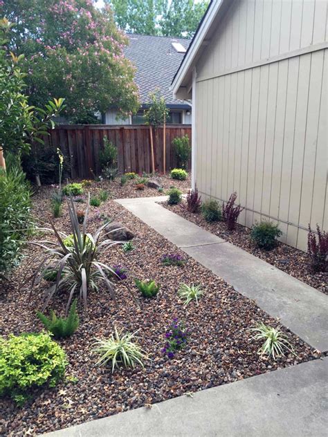 Drought Tolerant Landscaping Folsom And Sacramento