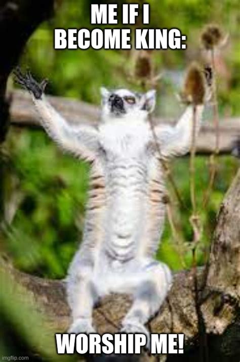 Lemur Meme
