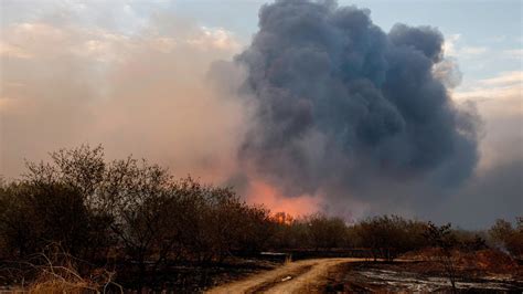 Los Incendios Que Azotan El Mediterráneo Dejan Más De 40 Muertos Y