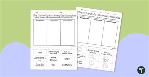 Cut And Sort Everyday Examples Of The Water Cycle Teach Starter