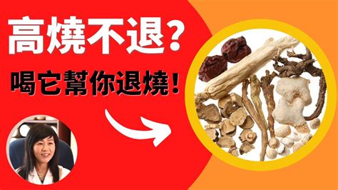 高燒不退？退了再燒？小柴胡湯幫你退燒！ Youtube