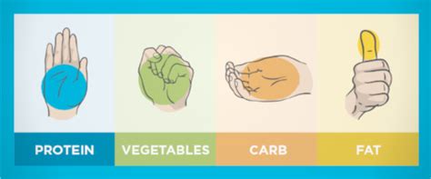 How Hand Size Portions Can Help You To Lose Weight And Eat Healthier