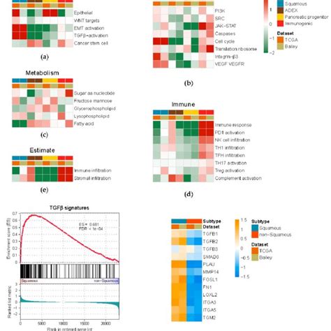 A Landscape Of Molecular Properties Associated With Pdac Subtypes Download Scientific Diagram