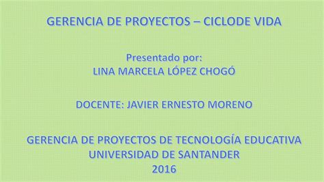 Actividad Gerencia De Proyectos Ciclo De Vida Del Proyecto Ppt