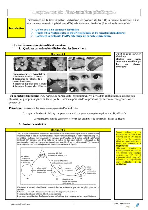 Expression de linformation génétique Cours 1 AlloSchool