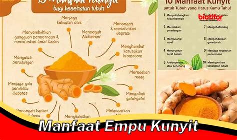 Manfaat Temu Kunci Bukan Hanya Bumbu Rempah Masakan Biotifor