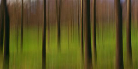 Fondos de pantalla Árboles abstracto difuminar color Arboles Icm