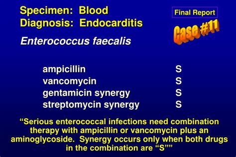 Ppt Specimen Blood Diagnosis Endocarditis Enterococcus Faecalis