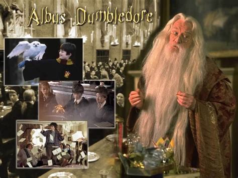 Albus Dumbledore - Hogwarts Professors Wallpaper (7479210) - Fanpop