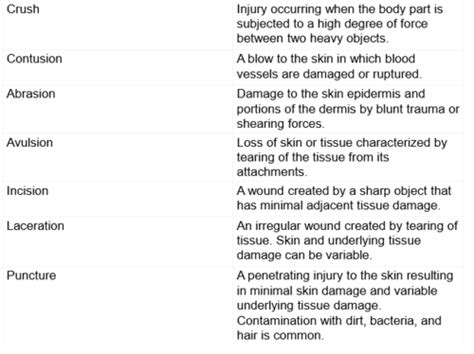 Vets4022 Wound Management Flashcards Quizlet