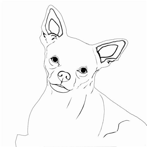 Chihuahua Is Smiling Coloring Page Free Printable Coloring Pages For Kids