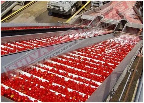 Tomato Processing Plant Sauce Ketchup Puree Tomato Ketchup