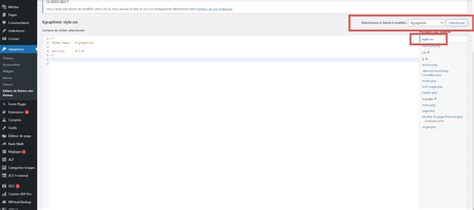 Modifier Le CSS Dans WordPress Comment Personnaliser Lapparence De