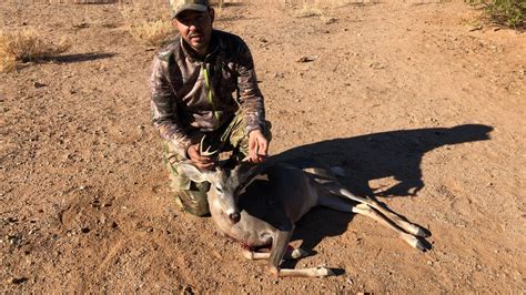 Cacería de venado cola blanca coues Whitetail deer sonora YouTube