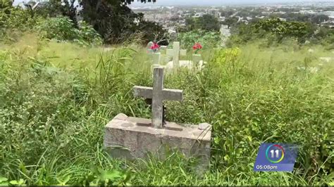 Entre Maleza Y Sabandijas Cementerio Municipal De Ponce TeleOnce TV