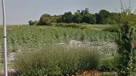 Terrain À Bâtir De 350M² À Semussac Maisons ARLOGIS Royan