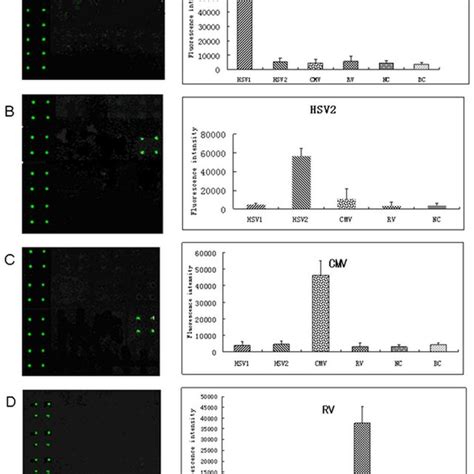 1.1 Three categories of protein microarrays. (A) Analytical protein ...