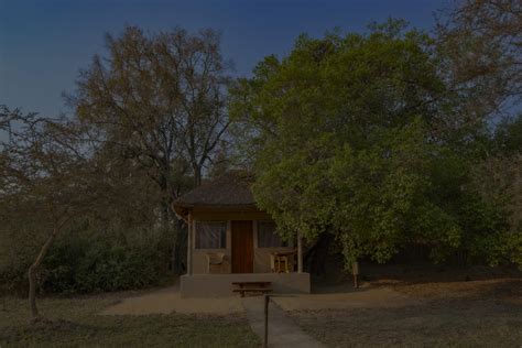 Mozhi Bush Camp Gallery Shearzone Safaris