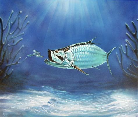 Tarpon Painting By Larry Cole