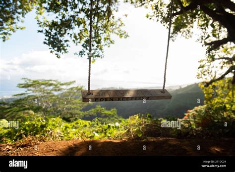 Jungle Swing On Mount Aourai In Tahiti French Polynesia Stock Photo Alamy