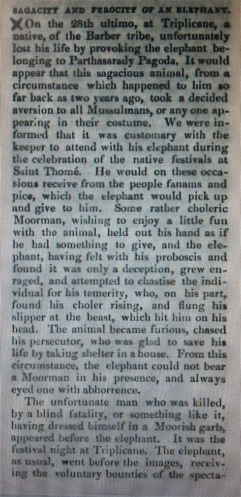 triplicane temple elephant