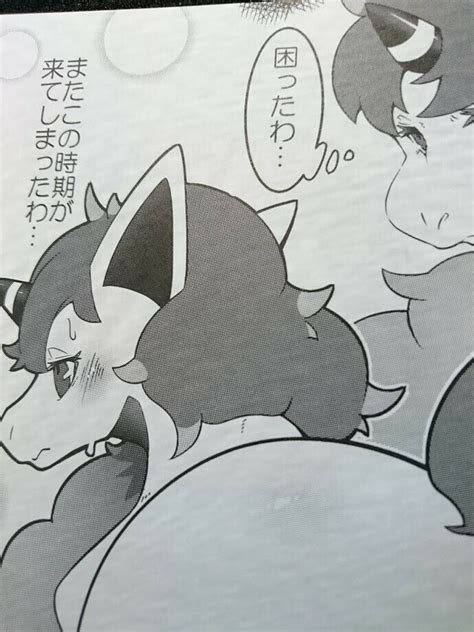 Doujinshi Pokemon Cinderace Lucario Etc A5 74pages Odoshiro Furry K