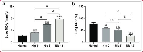 Lung Oxidative Stress Markers After E Cig Exposure To Different