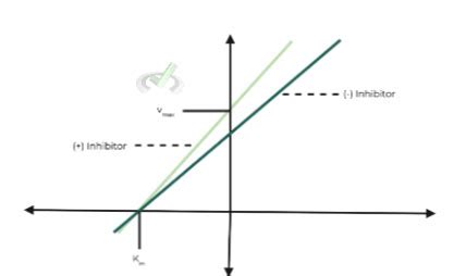 Enzyme Reversible Inhibition On The Mcat Medlife Mastery