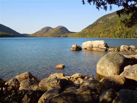 Where's Willy now?: On beautiful Mt Desert Island, Maine
