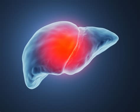 Causes, Symptoms, and Treatments of Liver Pain - Facty Health