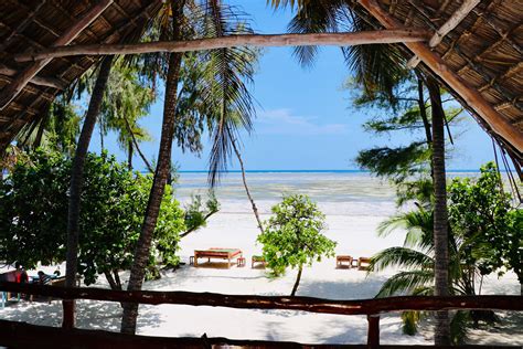 Evergreen Bungalows Zanzibar 2024 Prices And Reviews Hostelworld