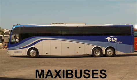 Maxibuses Transportes Y Autobuses Del Pac Fico Confort Tap Confort