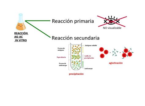 Reacci N Ag Ac In Vitro Cd Map Map Screenshot Techniques