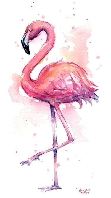 Фламинго | Fenicottero arte, Illustrazione ad acquerello, Fenicotteri