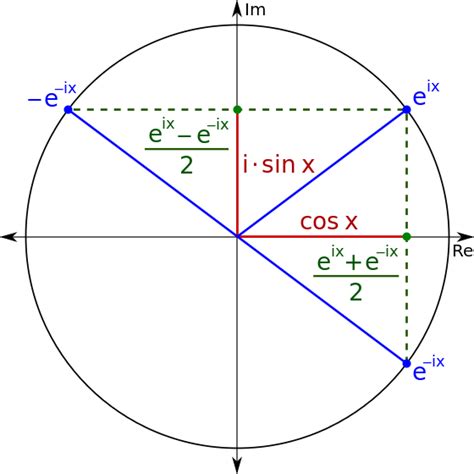 Relationship Between Sine Cosine And Exponential Function Mathematics