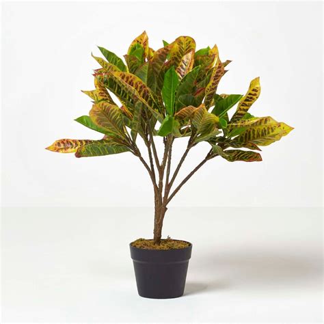 Green Rushfoil Artificial Croton Plant With Pot 65 Cm