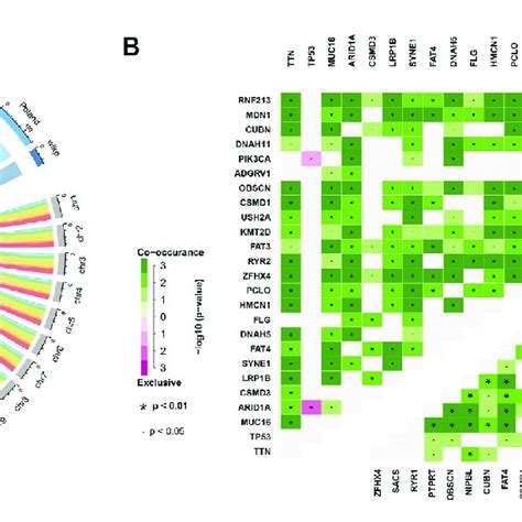 Mutational Distribution Co Occurrence And Exclusive Analysis A