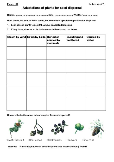 Seed Dispersal Worksheet 2nd Grade