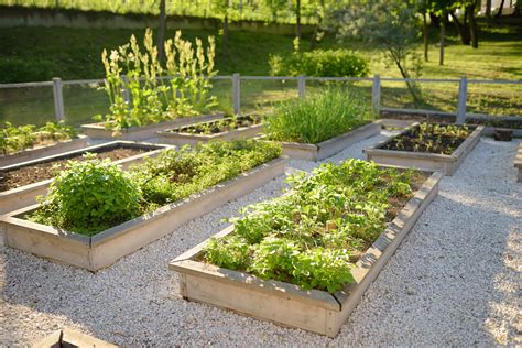 Jardin écologique ces plantes à éviter de cultiver