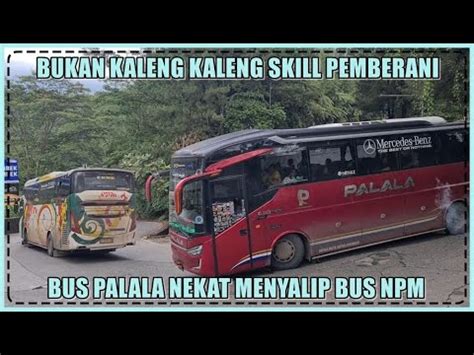 Bukan Kaleng Kaleng Skill Pemberani Bus Palala Nekat Menyalip Bus Npm