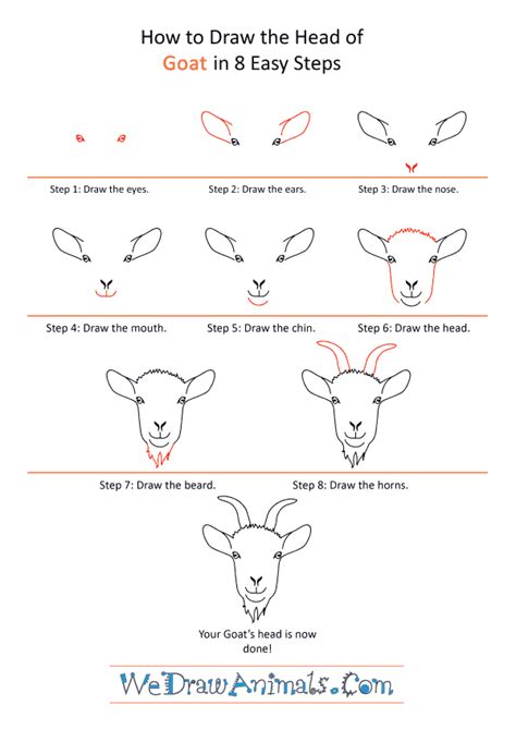 How to Draw a Goat Face