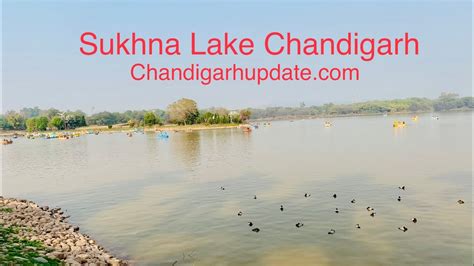 Sukhna Lake Chandigarh Boating Timings Location Chandigarhupdate