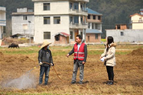 乡村振兴｜百亩荒田变良田，撂荒田复耕助力山区群众增收致富腾讯新闻