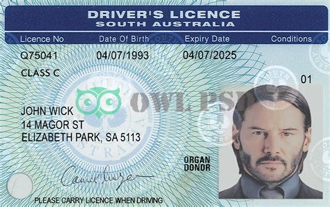 Owl Psd High Quality Fake Template Australia Sa Driver License