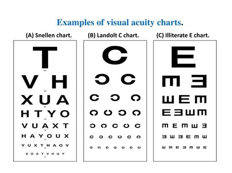 Snellen Visual Acuity Chart