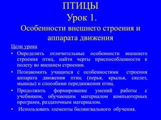 Презентация на тему: Птицы и млекопетающие | PPT