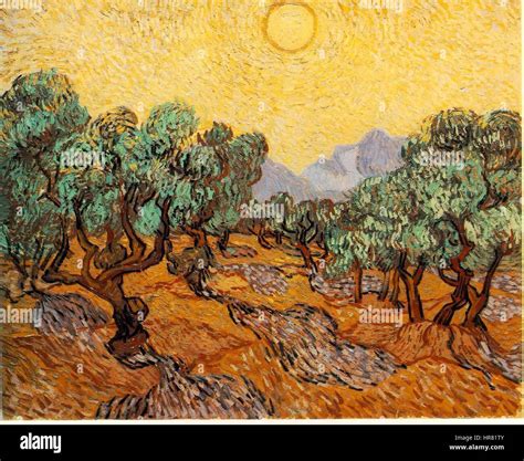 Vincent Van Gogh Olive Trees With Yellow Sky And Sun Stock Photo Alamy